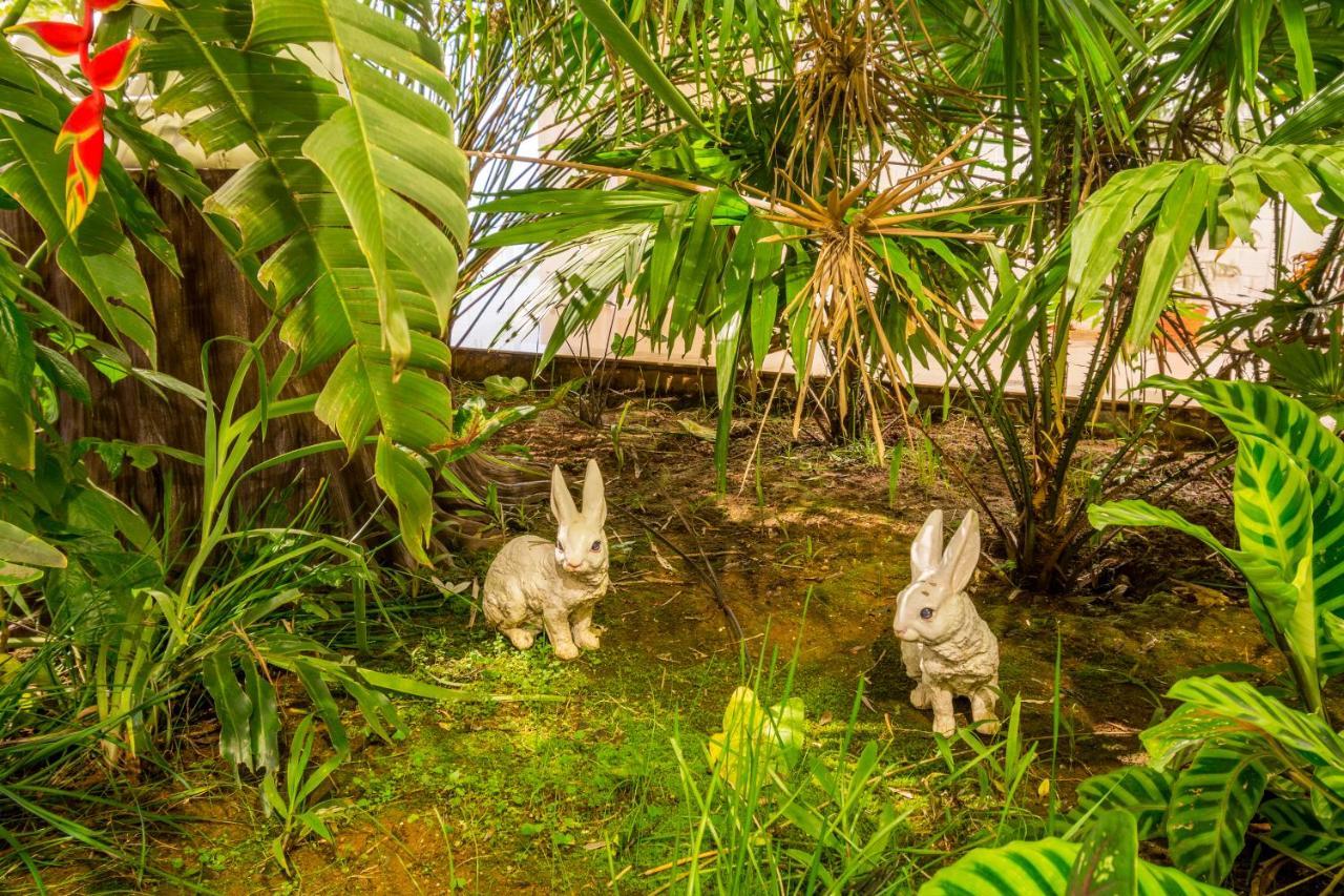 اراكو Casa Holiday Resorts المظهر الخارجي الصورة